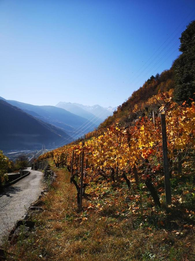 Casa Vacanze - Residenza Elvezia Tirano Dış mekan fotoğraf